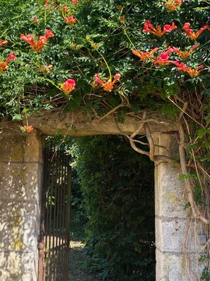 A stone archway with a metal gate, surrounded by greenery and flowering plants.