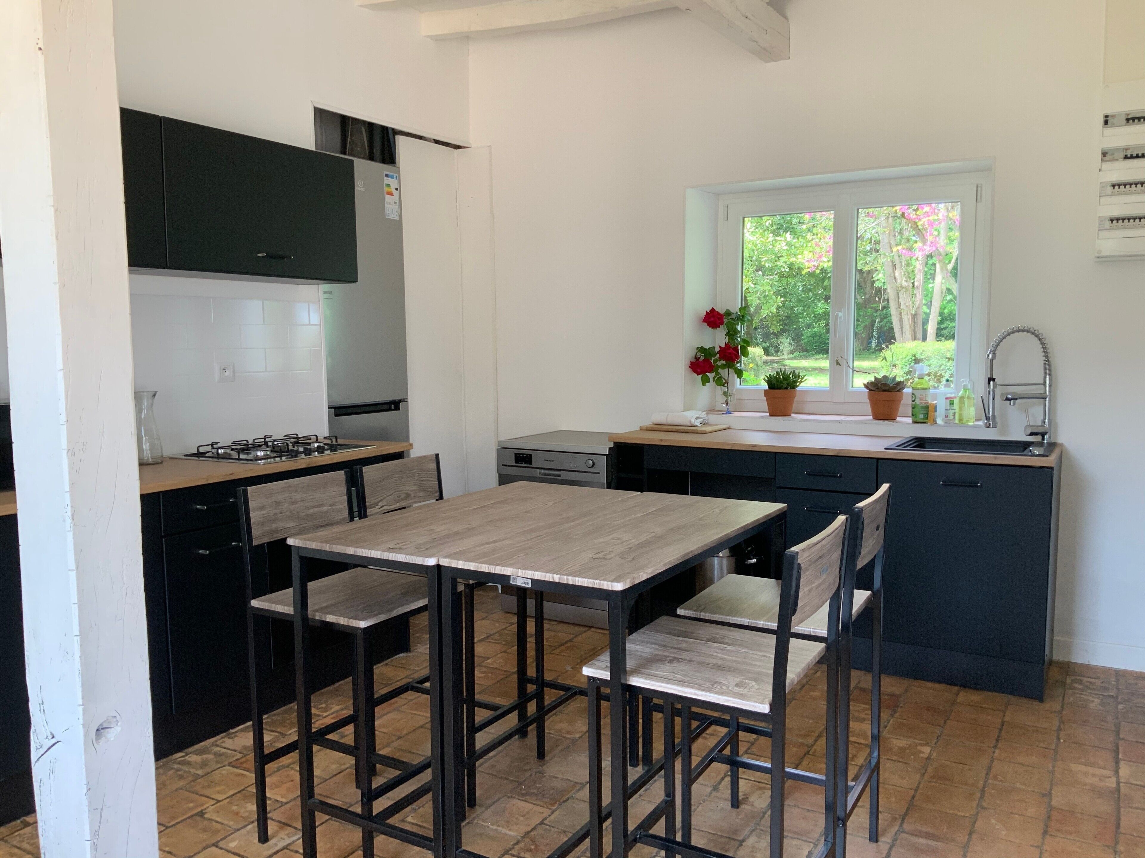 Une cuisine avec une table et des chaises, une fenêtre avec des plantes et un évier.