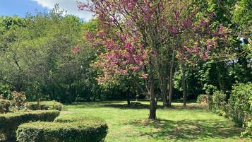 Ein Park mit gepflegten Hecken, Bäumen und blauem Himmel.