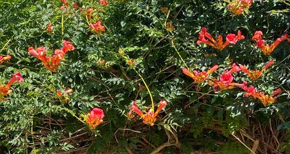 Casa de vacaciones 'La Béchetière' con piscina privada, terraza privada y Wi-Fi