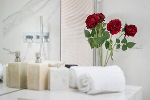 Douche, séchoir à cheveux