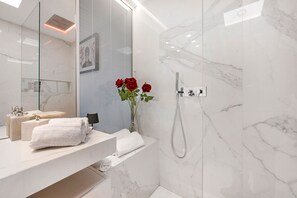 Shower, hair dryer