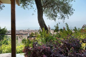 Property grounds - Villa 'Savi Lake View and Pool' with Lake View, Wi-Fi and Air Conditioning (Torri del Benaco)