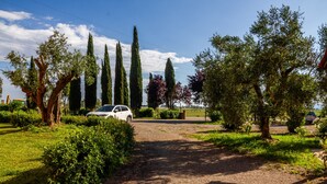 A gravel driveway leading to a parked car, surrounded by greenery and tall trees. - Apartment 'Cesare' with Shared Pool, Wi-Fi and Air Conditioning (Campiglia Marittima)