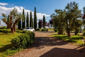 Overnatningsstedets område
