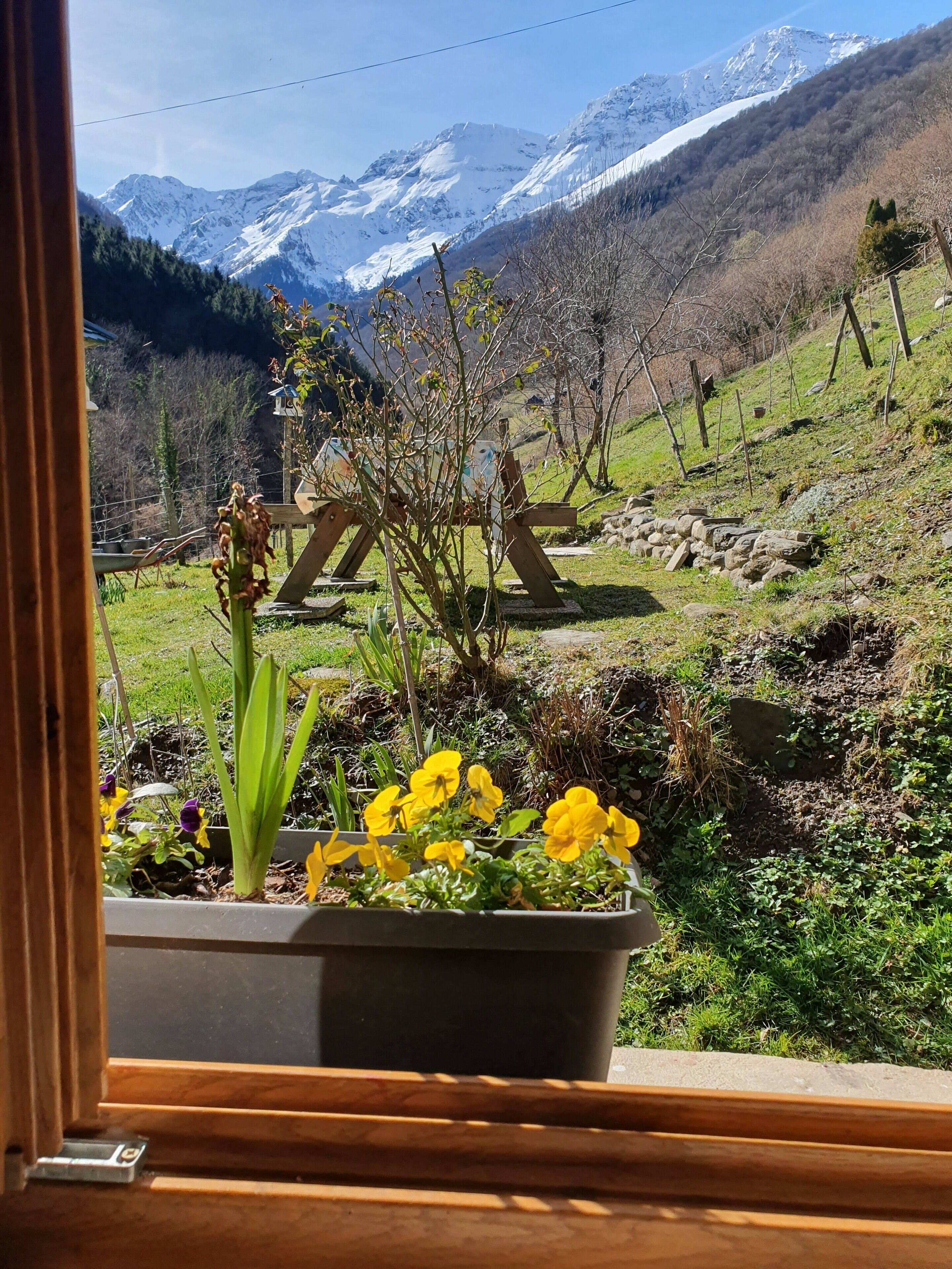 Enceinte de l’hébergement