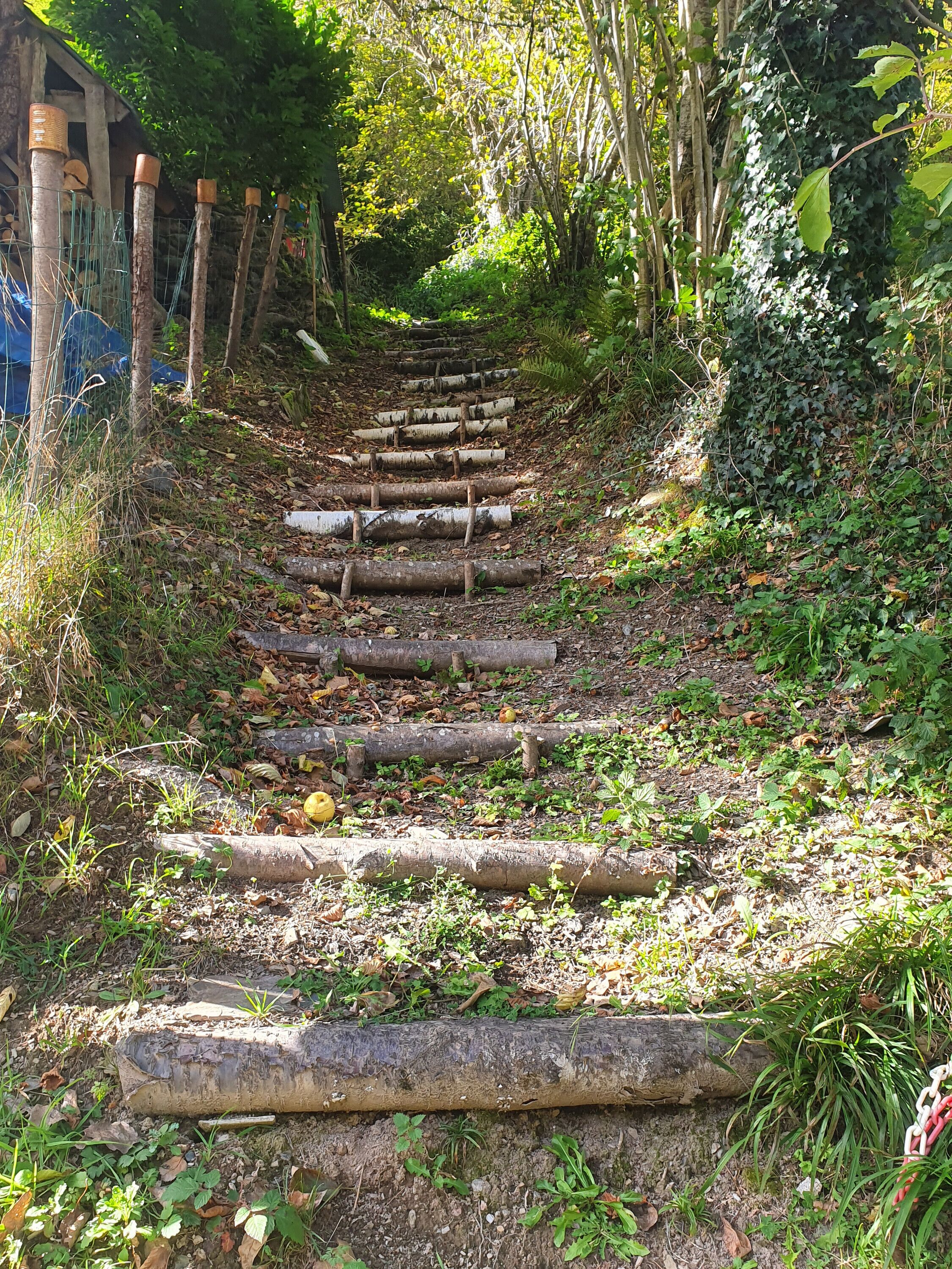 Áreas de la propiedad