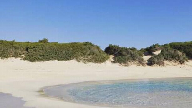 A sandy beach with clear water and green vegetation in the background.