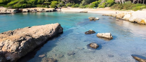 بالقرب من الشاطئ