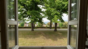 Una ventana con vistas a un área verde, árboles y edificios a lo lejos.
