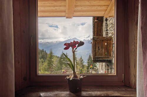 Ferienwohnung 'La Ponteille' mit gemeinsamer Terrasse, gemeinsamem Garten und WLAN