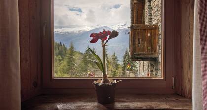 Ferienwohnung 'La Ponteille' mit gemeinsamer Terrasse, gemeinsamem Garten und WLAN
