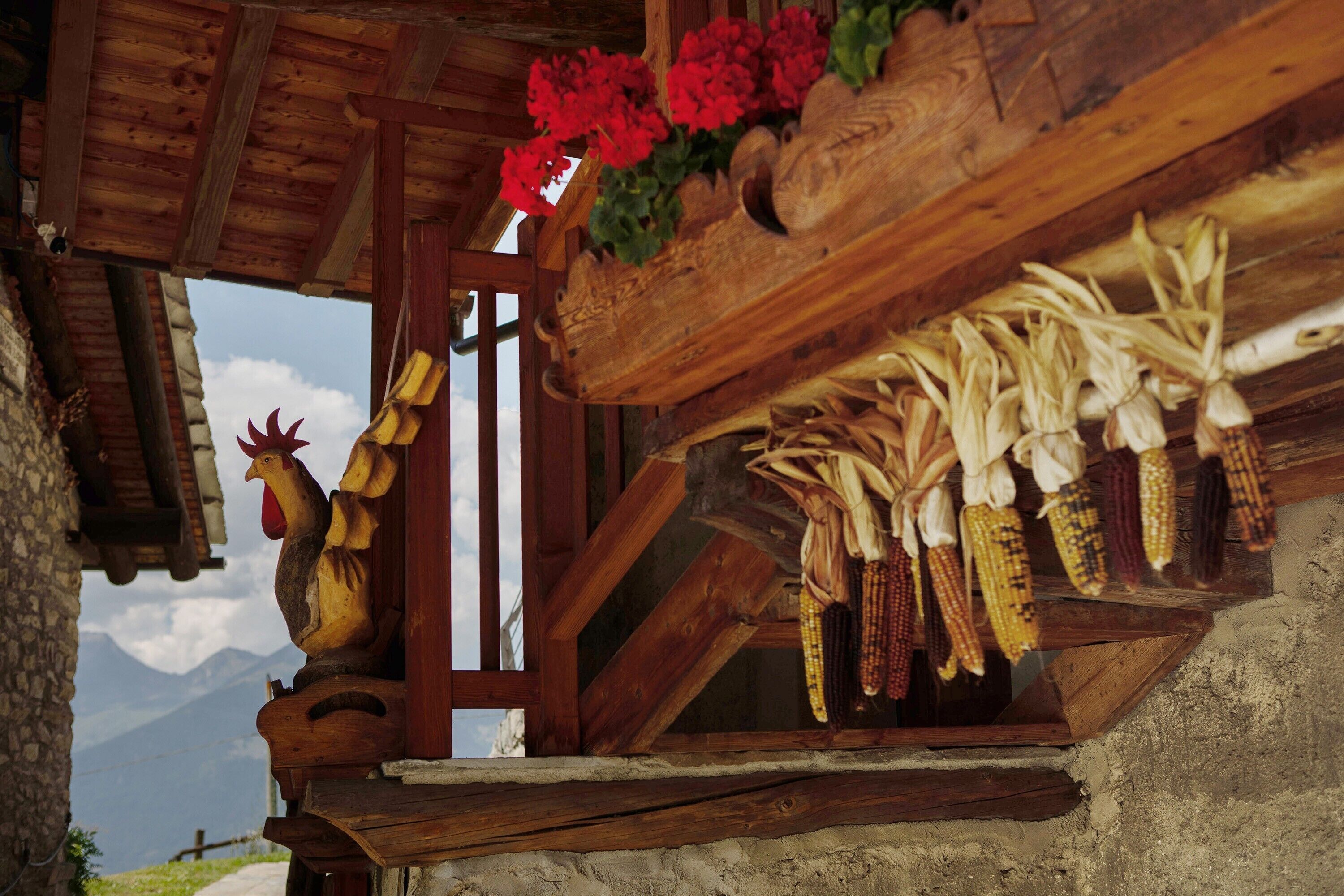 Detalle del exterior