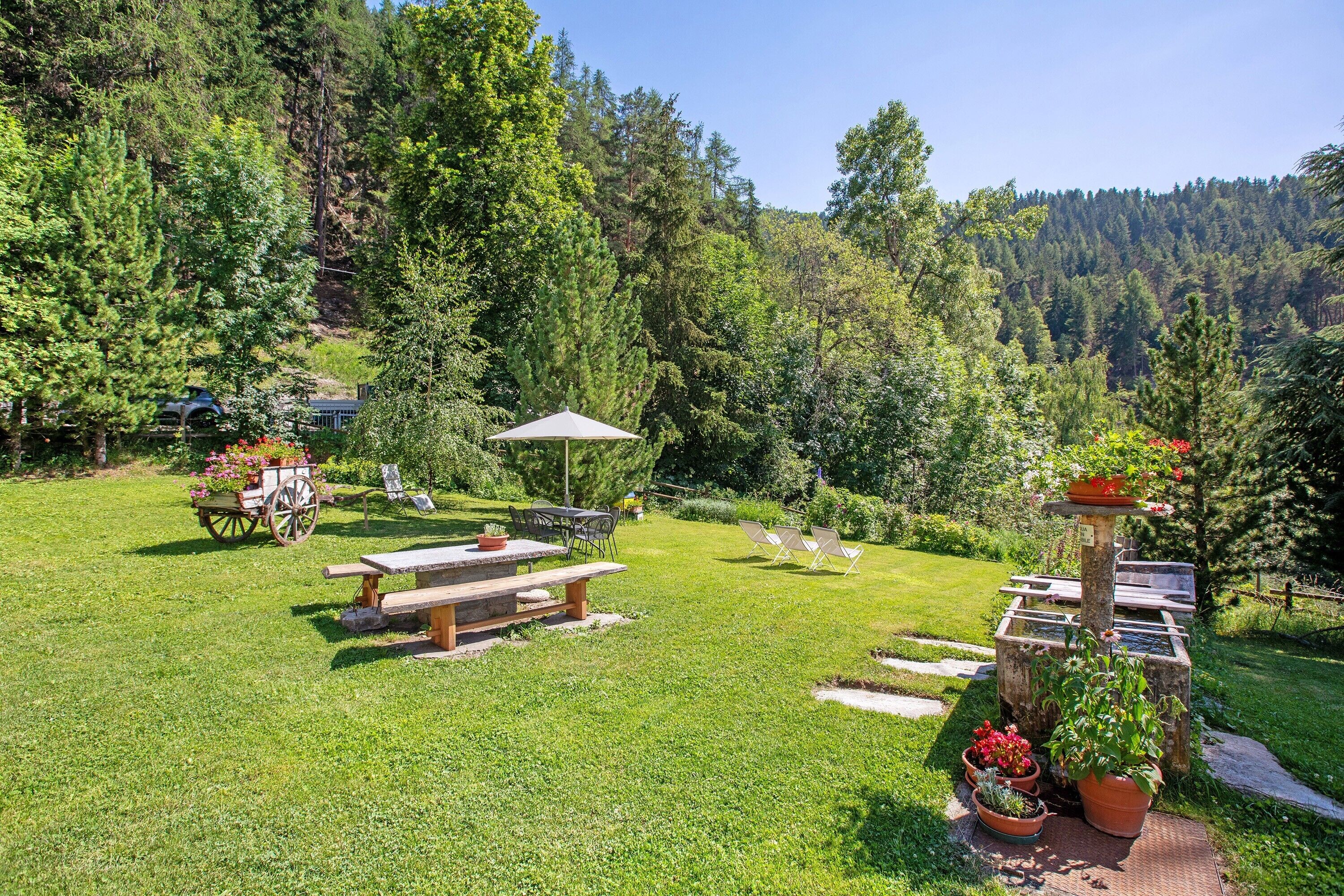 Un'area picnic con tavoli e sedie, immersa nel verde e circondata da un pendio boscoso.