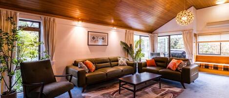 TV connectée, cheminée, table de tennis de table, chaßne hi-fi