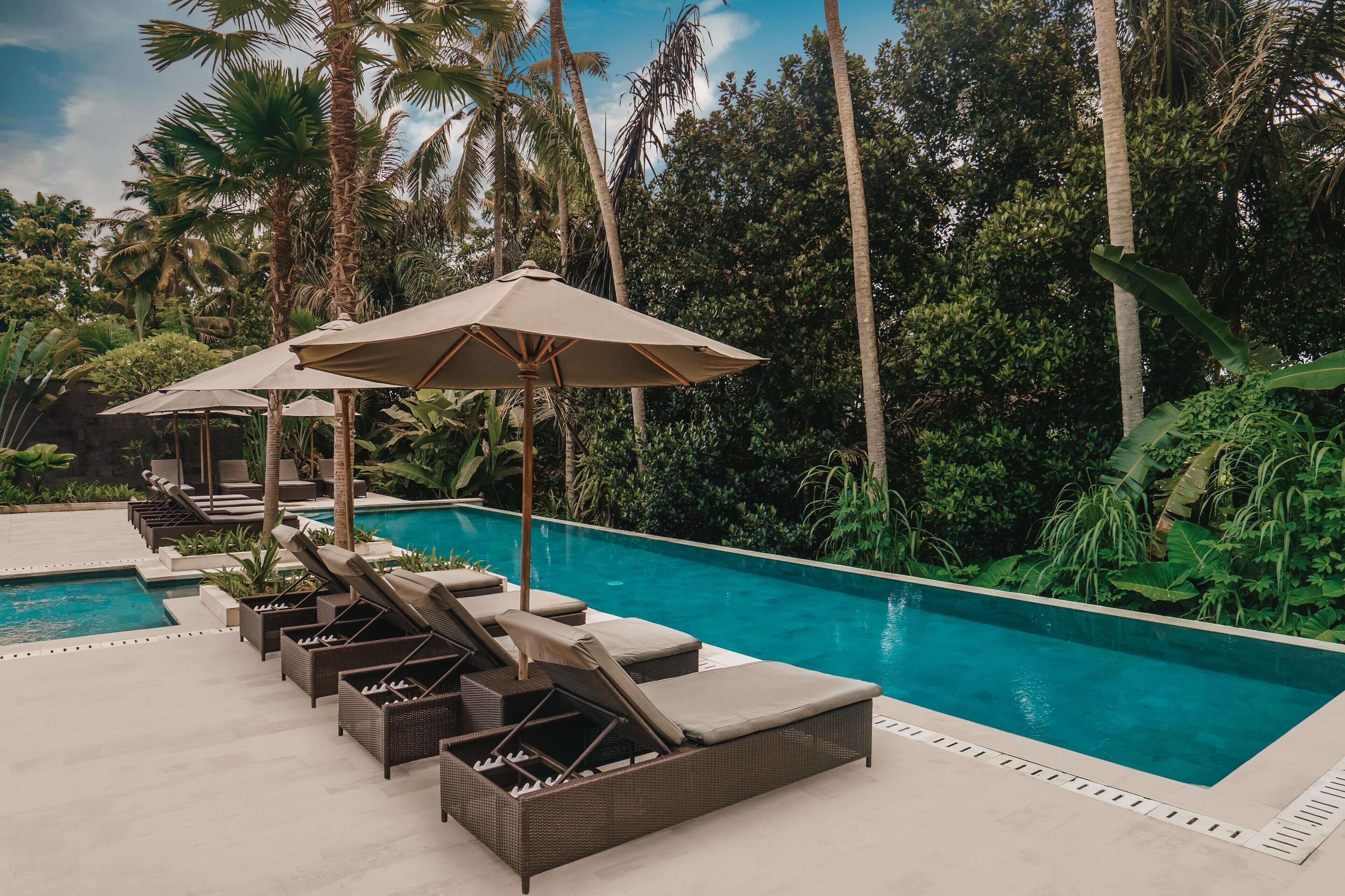 Zona de piscina con sillones de descanso y sombrillas, rodeada de abundante vegetación.