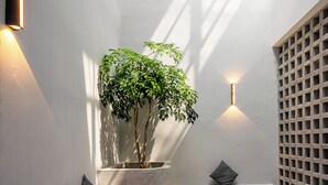 A modern interior with a wooden bench, a potted plant, and a seating area with cushions. - Muntri Maison (George Town)