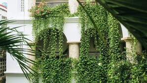 Un edificio con fachada blanca y columnas, parcialmente cubierto de hiedra y plantas con flores.