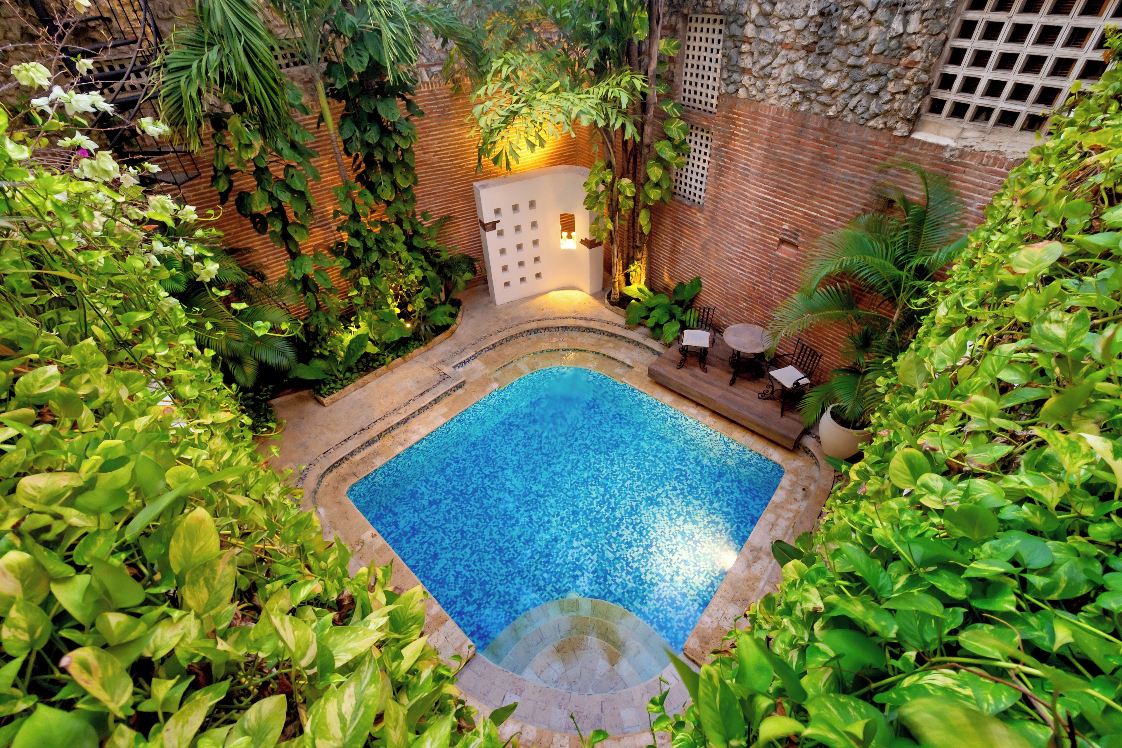 A pool surrounded by lush greenery and a brick wall.