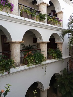Quang cảnh sân vườn