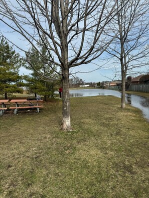 Property grounds - Cozy Basement Retreat -
Free Parking in Etobicoke (Toronto)