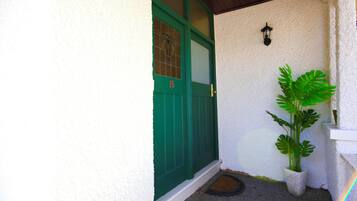 Welcome to a cozy home with a green door, potted plant, and a small mat at the entrance.