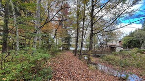 A forest path with a wooden bridge, surrounded by trees and a body of water. - Grandparent’s Cottage 250 steps to the lake (Stockbridge)