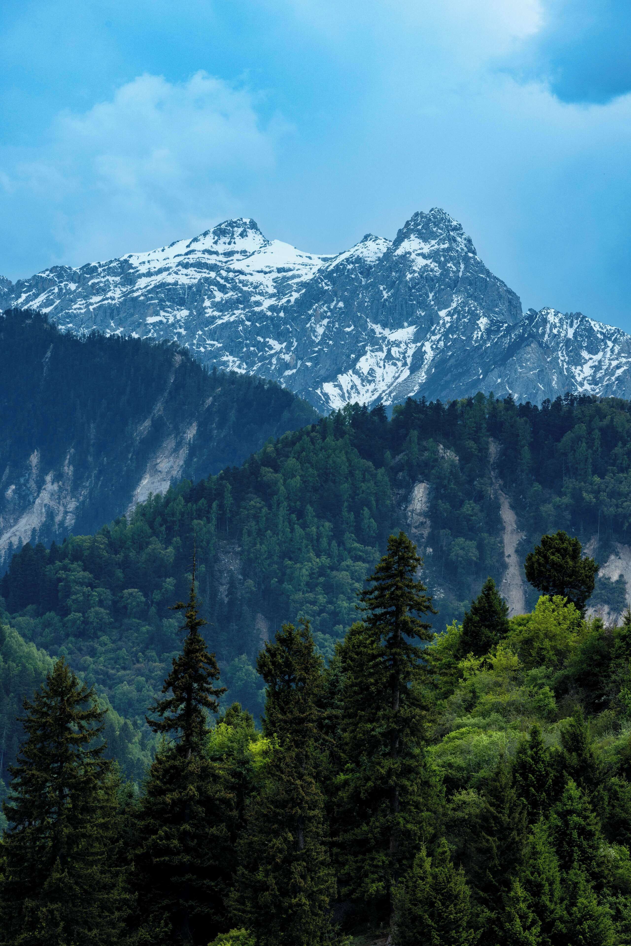 A mountain range with snow-capped peaks and dense forest in the foreground.