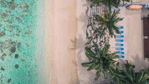 Vista aérea de una playa con agua turquesa cristalina, una orilla arenosa y varias palmeras. Hay sillas de playa azules dispuestas a lo largo de la costa.