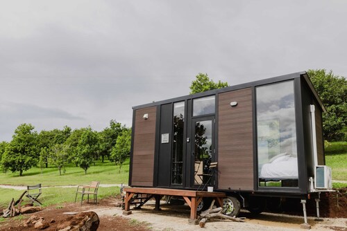 8 Farm Macadamia Plantation 1 by Tiny Away