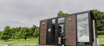 8 Farm Macadamia Plantation 1 by Tiny Away
