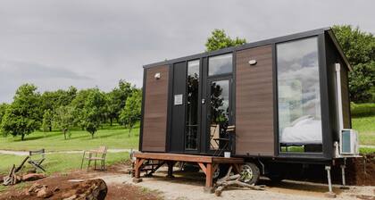 8 Farm Macadamia Plantation 1 by Tiny Away