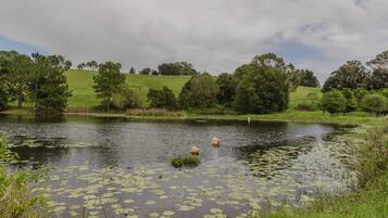 A tranquil pond surrounded by lush greenery and trees.