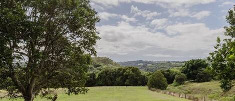 Ländliche Landschaft mit einem eingezäunten Feld, einem Baum und hügeliger Kulisse.