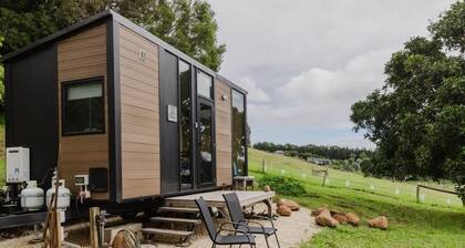 8 Farm Macadamia Plantation 2 by Tiny Away
