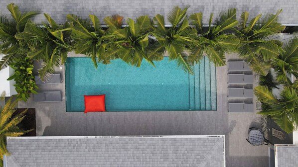 An aerial view of a rectangular swimming pool with a red cushion, surrounded by palm trees and grey lounge chairs. - Stunning 4 bedrooms pool villa at Rawai (Tambon Rawai)
