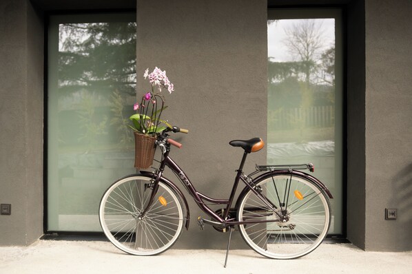 A bicycle with a basket and flowers, parked against a building with large windows.