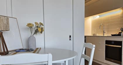 New studio in Ville-Marie, near subway, 20 mins to Old Town, with gym/lounge