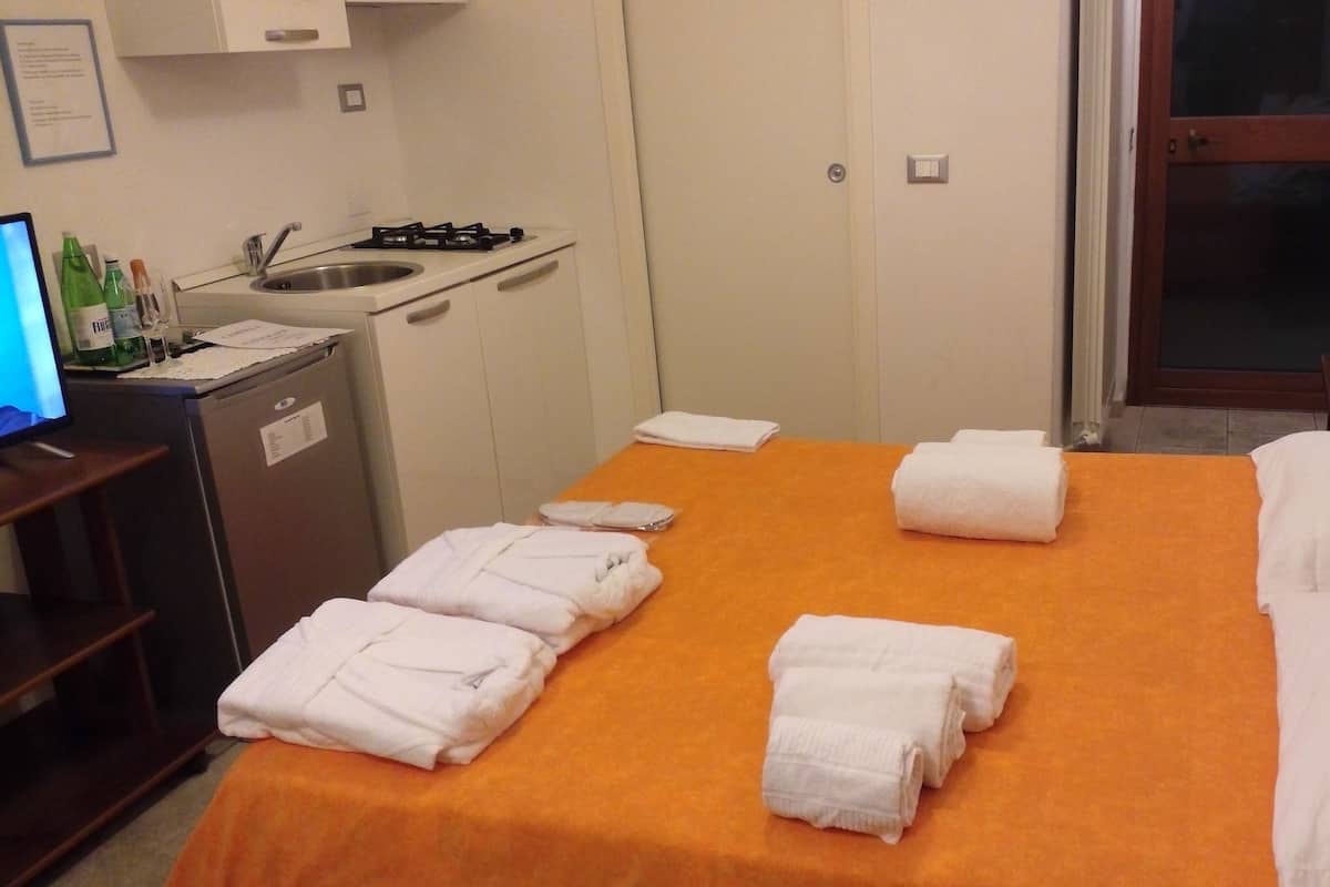 Habitación doble clásica, vista al parque | Minibar y wifi gratis