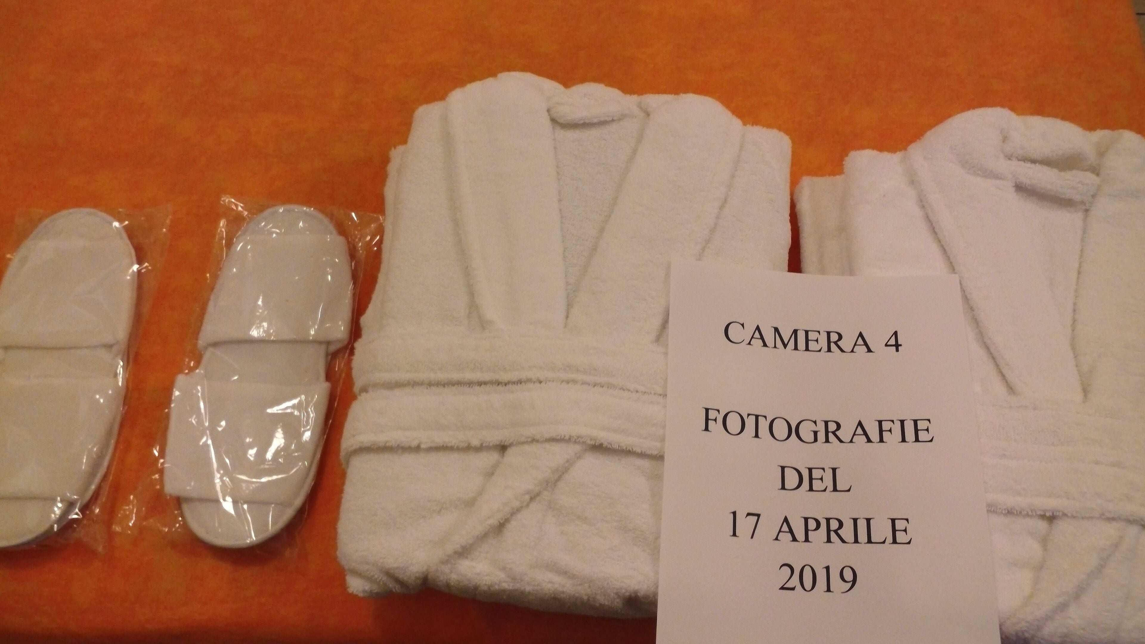 Classic Double Room, Park View | Minibar, free WiFi