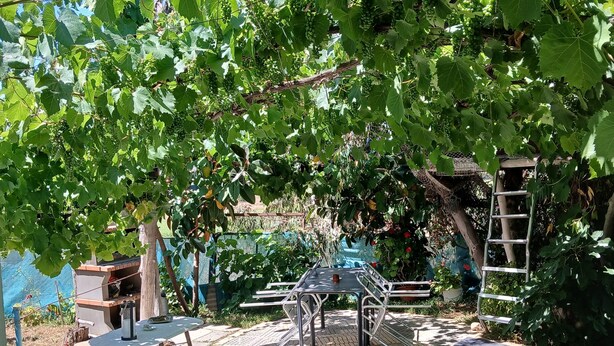 A garden patio with a table and chairs, surrounded by lush greenery and a pergola. - Cozy countryhouse  with garden in the shadow of grapevine in a finca with pool (Gibraleón)