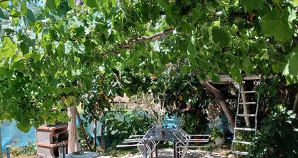 Schmuckstück "La Guindilla" kleines Landhaus mit Garten in einer Finca mit Pool