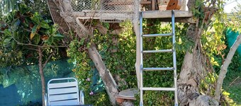 Cozy countryhouse  with garden in the shadow of grapevine in a finca with pool