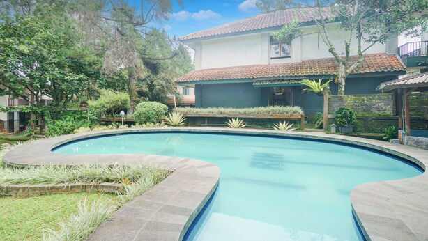 Ein Pool mit geschwungener Kante, umgeben von einer Steindeck und üppiger Bepflanzung.