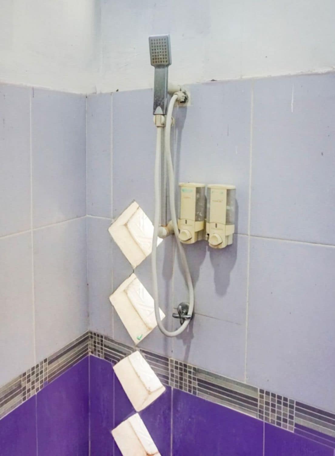 Shower, free toiletries, bidet, towels