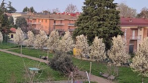 Un parque infantil con toboganes y columpios, rodeado de césped verde y árboles.