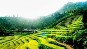 Unclassified image, 2 of 9, button - Ban Lien Pine Homestay Lao Cai (Ban Lien)