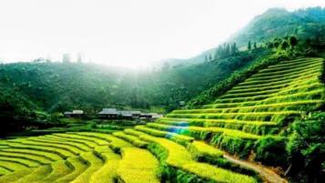 Vue sur la campagne depuis lâhĂ©bergement