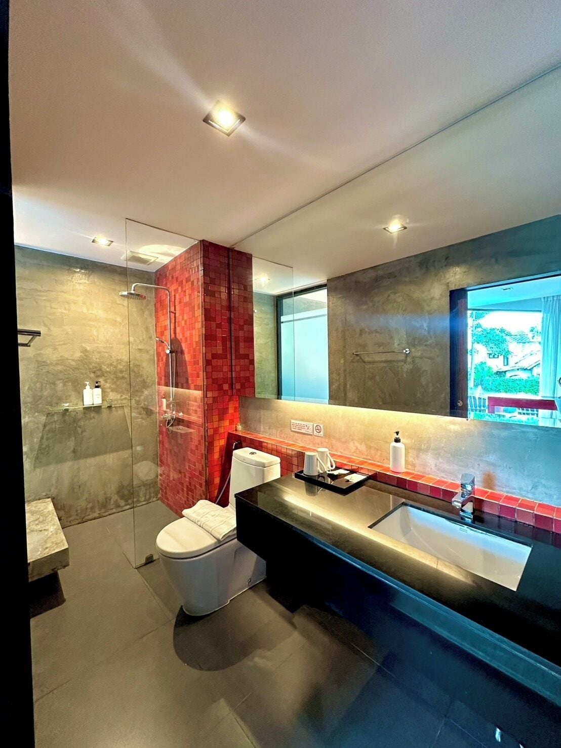 A modern bathroom with a glass shower enclosure, a toilet, a sink with a large mirror, and a view of the outdoors.