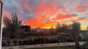 A sunset view with a pathway leading to a house surrounded by trees and shrubs. - Anastasia beach cottage Sunflower (Siracusa)